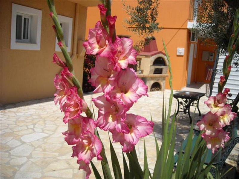 Erietta Studios Svoronata Extérieur photo
